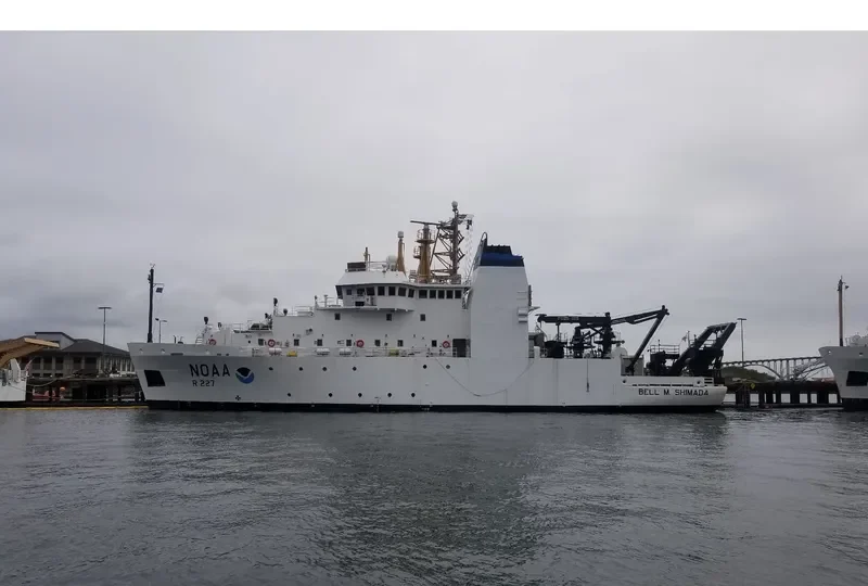 BELL M.SHIMADA General Cargo IMO 9349069 photo 10