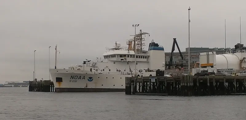 PISCES General Cargo IMO 9349071 photo 8