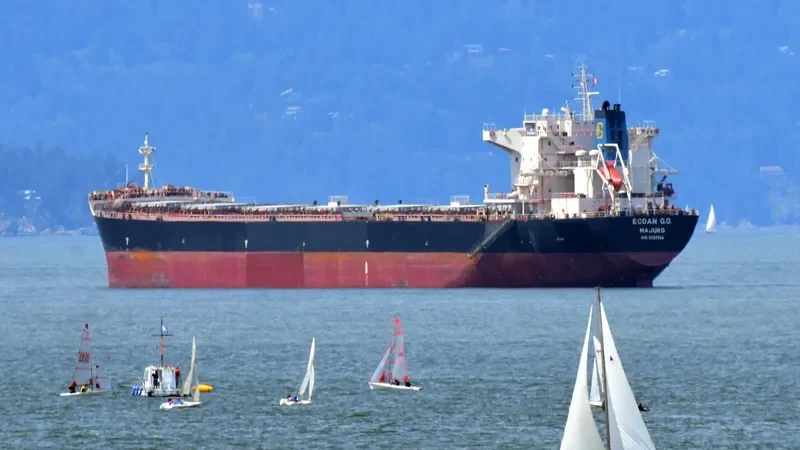 IVESTOS 9 Bulk Carrier IMO 9349306 photo 10
