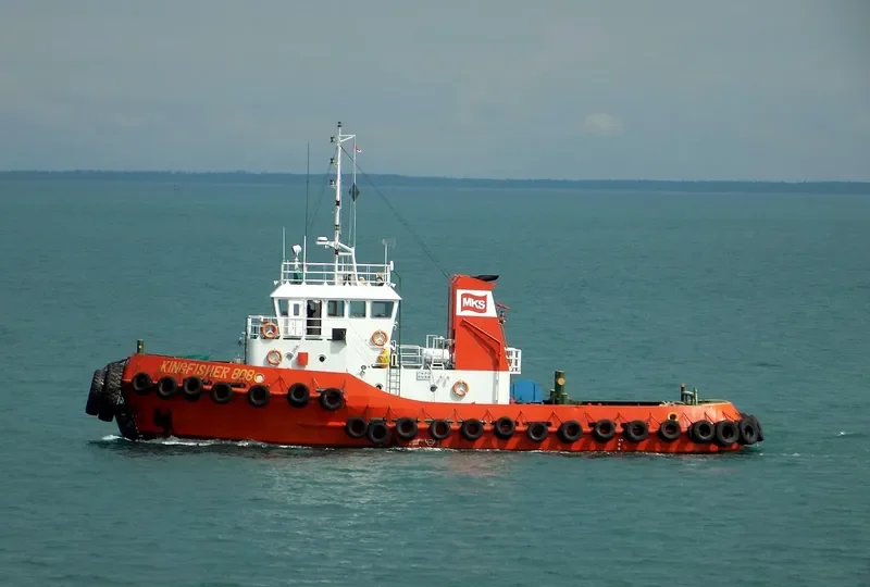 KINGFISHER 808 General Cargo IMO 9349837 photo 3