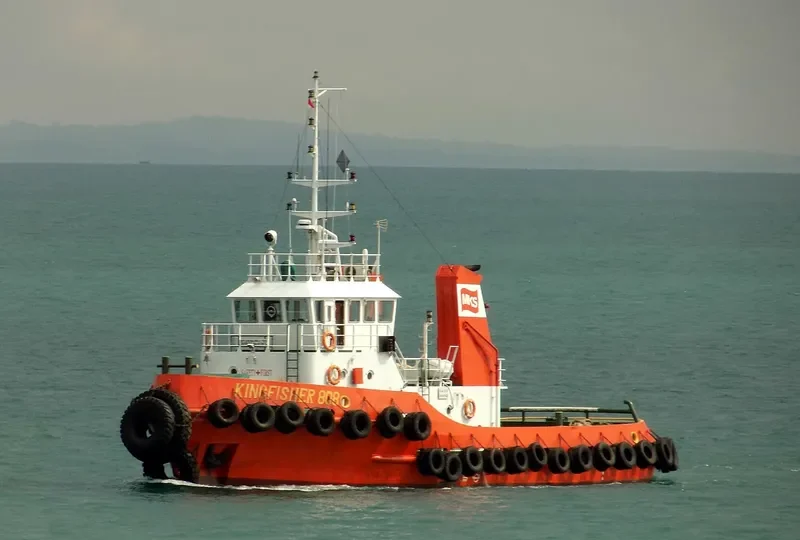 KINGFISHER 808 General Cargo IMO 9349837 photo 4