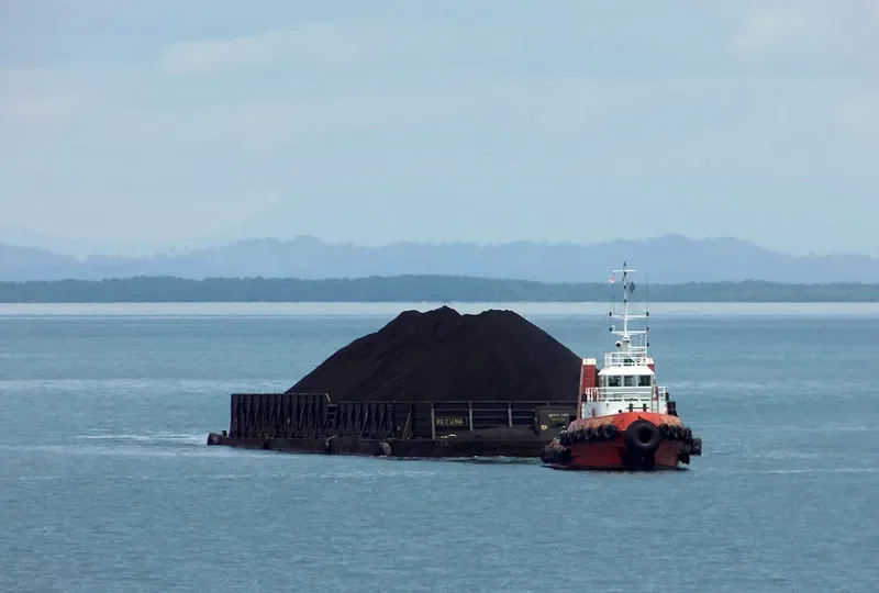 KINGFISHER 808 General Cargo IMO 9349837 photo 6