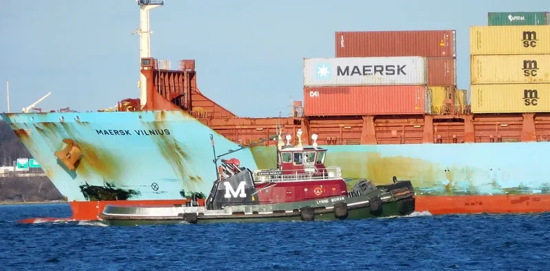 LYNNE MORAN General Cargo IMO 9349930 photo 5