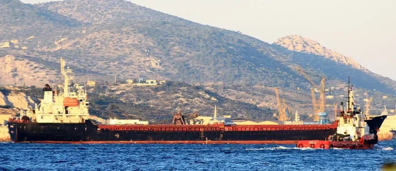 DAKOTA Bulk Carrier IMO 9349980 photo 2