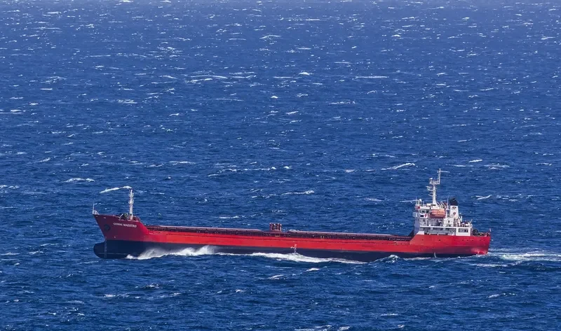 GEMINI MAESTRO General Cargo IMO 9350006 photo 4
