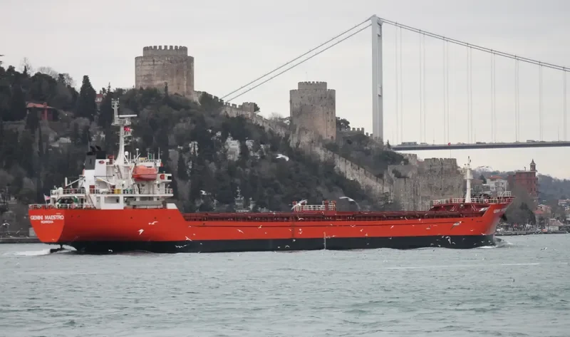 GEMINI MAESTRO General Cargo IMO 9350006 photo 10