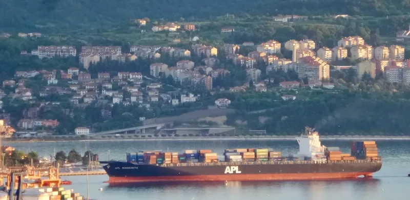 APL MINNESOTA Container Ship IMO 9350018 photo 7
