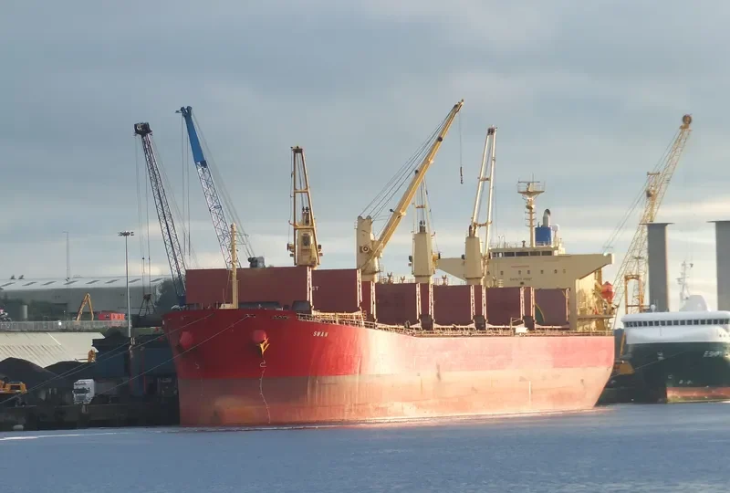 SWAN Bulk Carrier IMO 9350068 photo 3