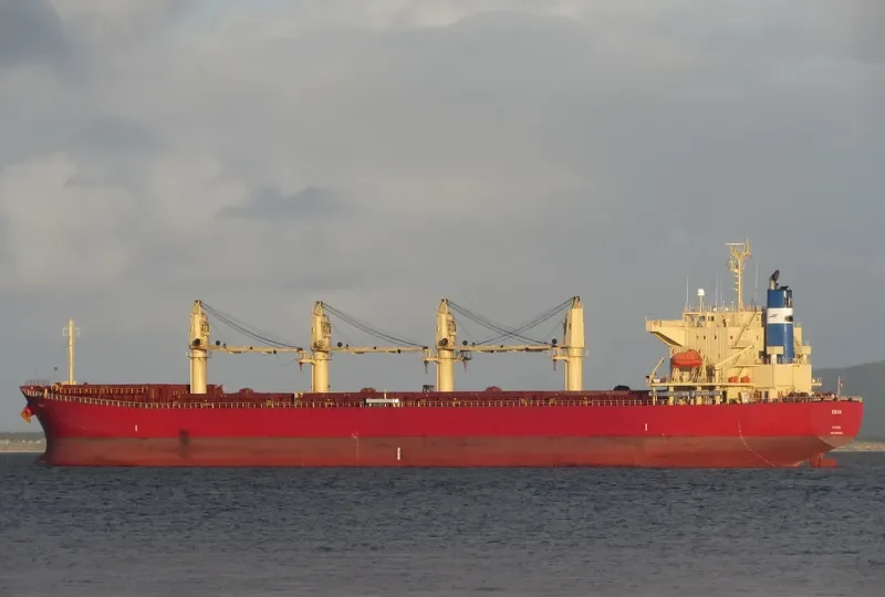 SWAN Bulk Carrier IMO 9350068 photo 4