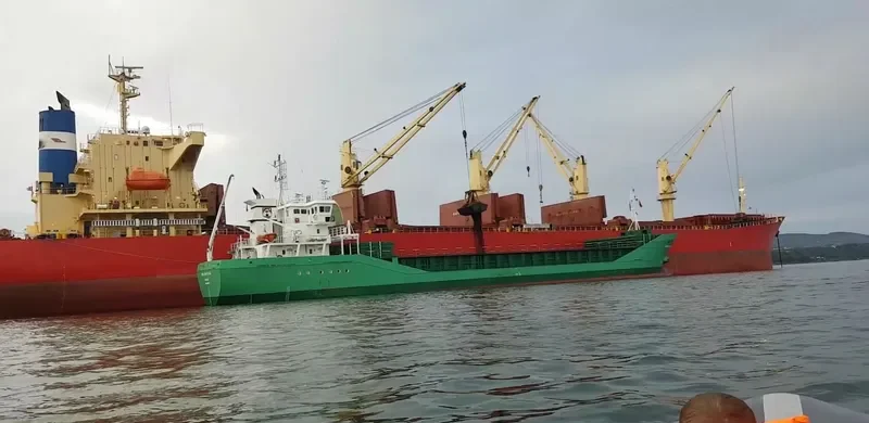 SWAN Bulk Carrier IMO 9350068 photo 5