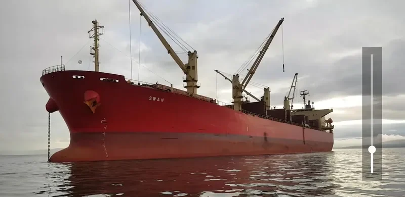 SWAN Bulk Carrier IMO 9350068 photo 6