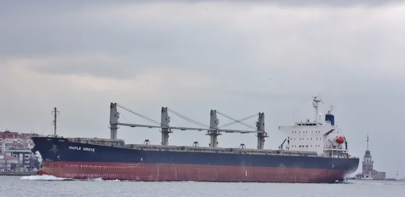 MEGHNA PARADISE Bulk Carrier IMO 9350070