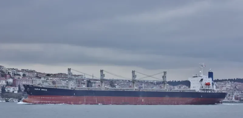 MEGHNA PARADISE Bulk Carrier IMO 9350070 photo 2