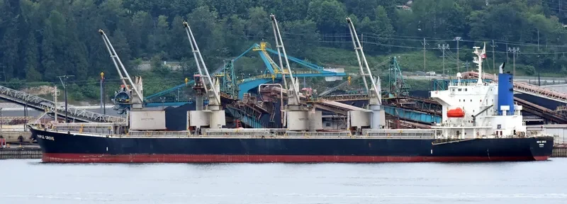 MEGHNA PARADISE Bulk Carrier IMO 9350070 photo 3