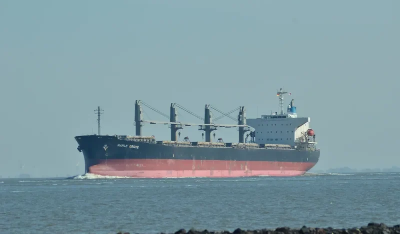 MEGHNA PARADISE Bulk Carrier IMO 9350070 photo 7