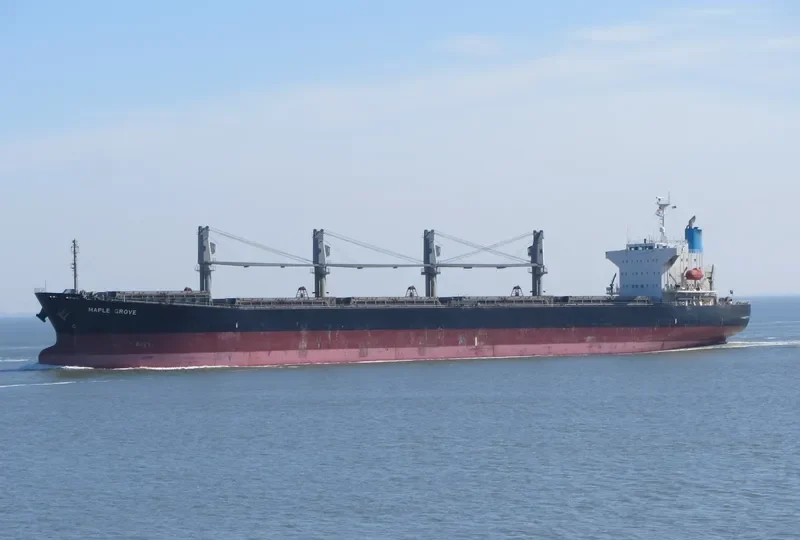 MEGHNA PARADISE Bulk Carrier IMO 9350070 photo 8