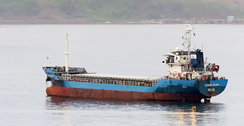 CHANG SHAN Bulk Carrier IMO 9350331