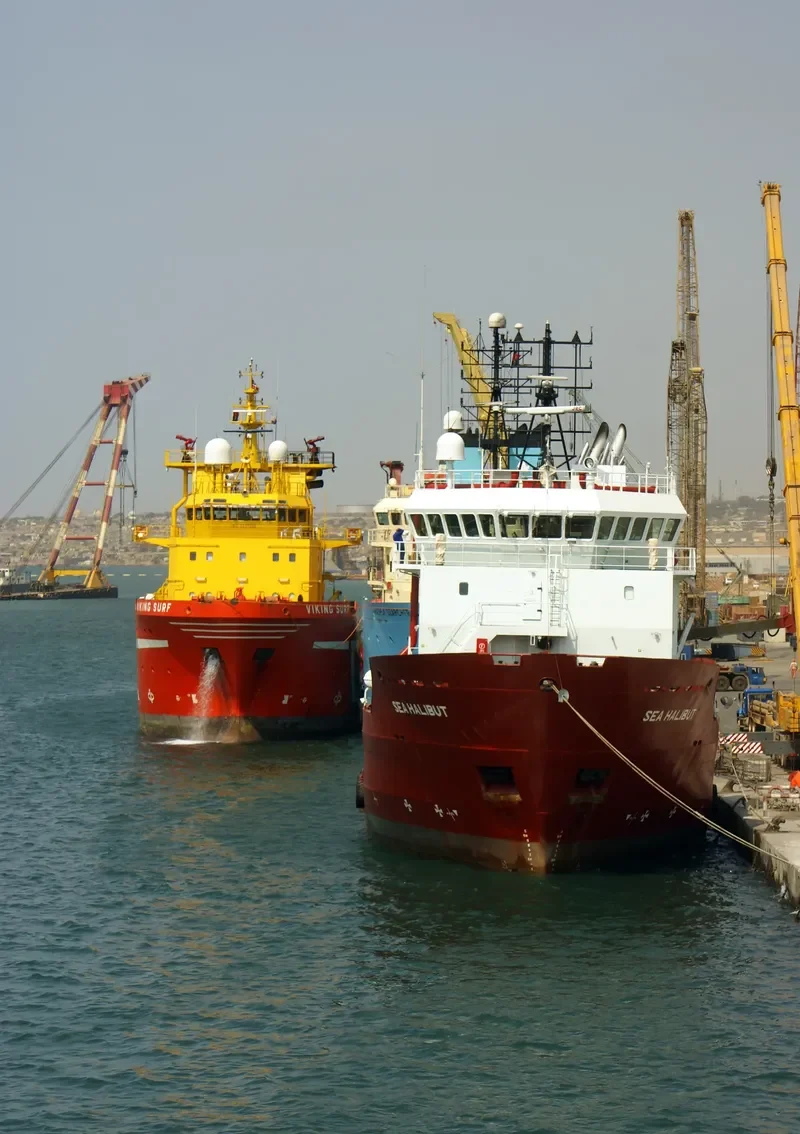 SEA HALIBUT Offshore Vessel IMO 9350501 photo 4