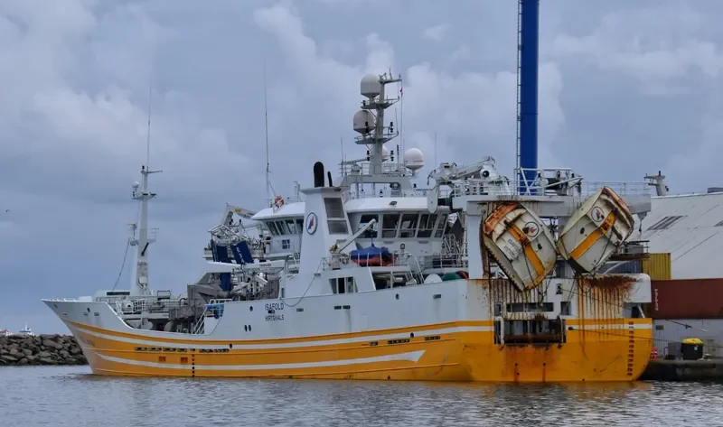 ISAFOLD General Cargo IMO 9350616 photo 6
