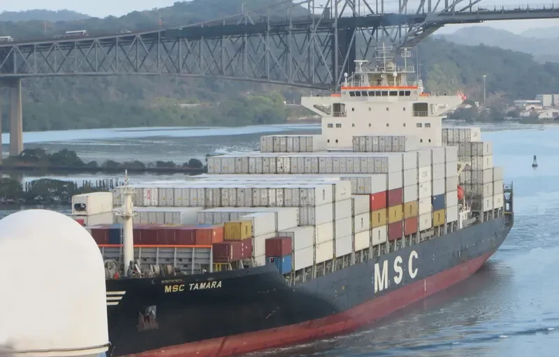 MSC TAMARA Container Ship IMO 9351579 photo 3