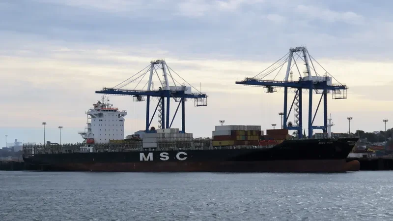 MSC KIM Container Ship IMO 9351581 photo 2