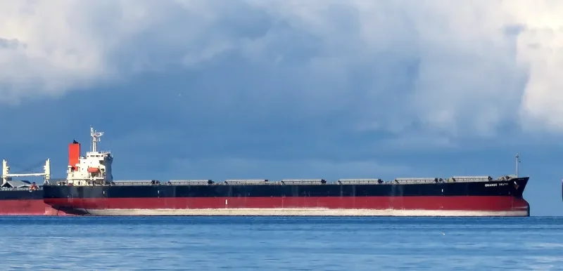 PONENTE Bulk Carrier IMO 9351763
