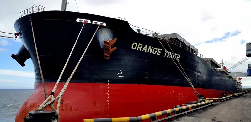 PONENTE Bulk Carrier IMO 9351763 photo 10