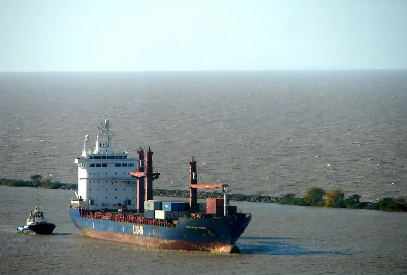 LOG IN PANTANAL Container Ship IMO 9351799 photo 3