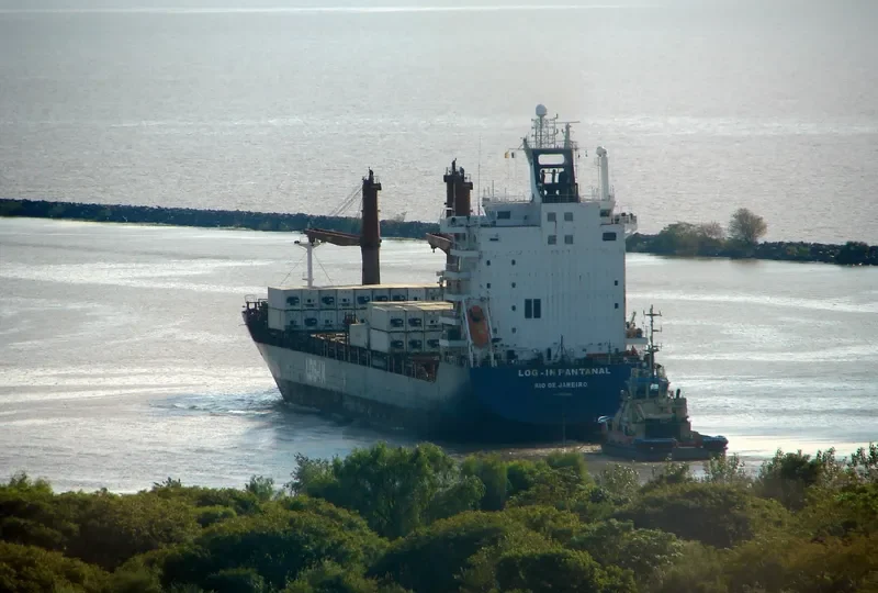 LOG IN PANTANAL Container Ship IMO 9351799 photo 4