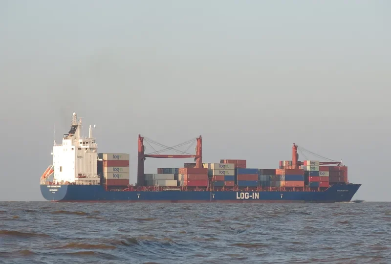 LOG IN PANTANAL Container Ship IMO 9351799 photo 8