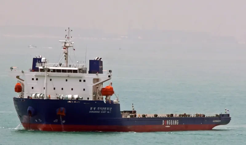 DONGBANG GIANT NO.1 General Cargo IMO 9351933 photo 6