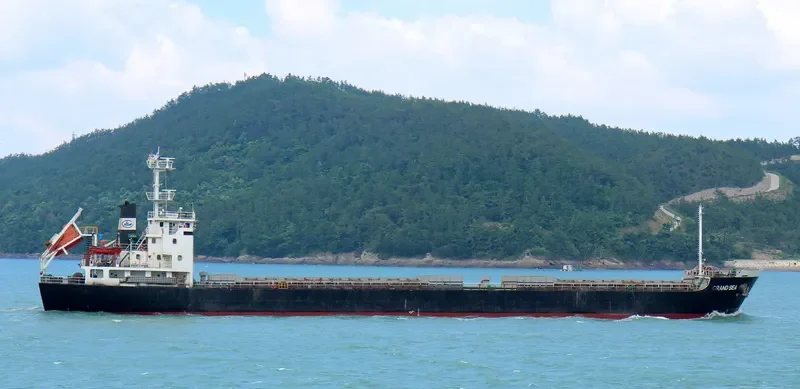 GRANDSEA General Cargo IMO 9352767 photo 5