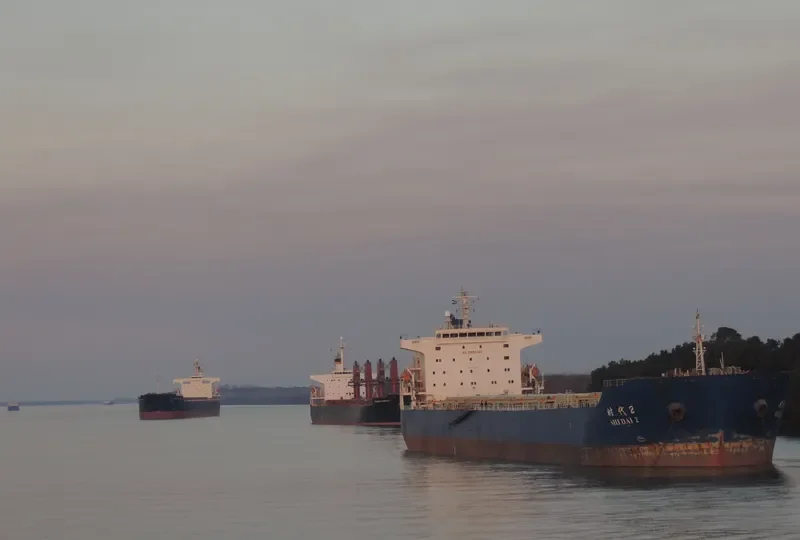 SHI DAI 2 Bulk Carrier IMO 9352951 photo 2