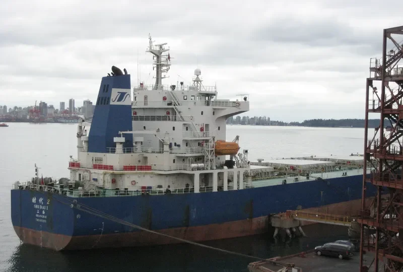 SHI DAI 2 Bulk Carrier IMO 9352951 photo 5