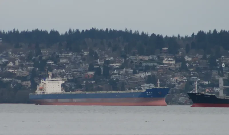 SHI DAI 2 Bulk Carrier IMO 9352951 photo 10