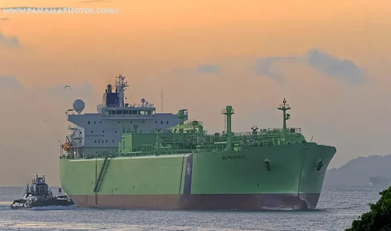 BW PRINCESS General Cargo IMO 9353242