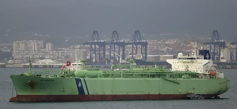 BW PRINCESS General Cargo IMO 9353242 photo 6