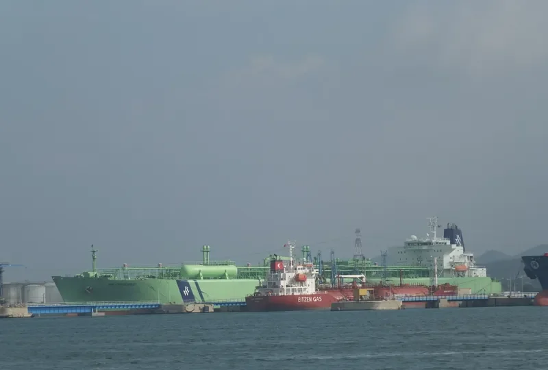 BW PRINCESS General Cargo IMO 9353242 photo 10