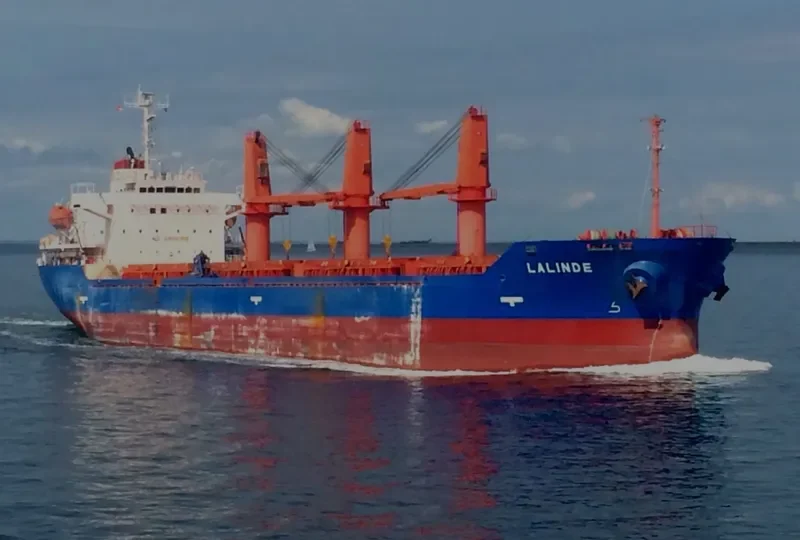 LALINDE Bulk Carrier IMO 9354040 photo 4