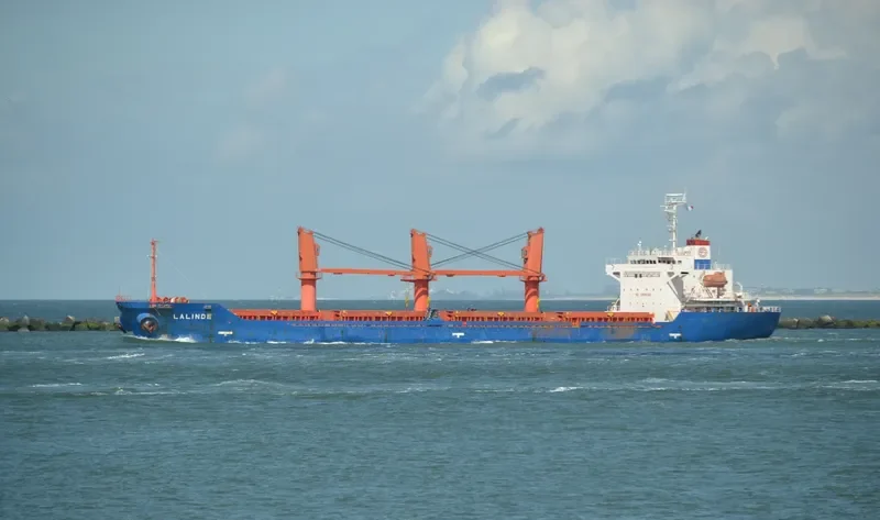 LALINDE Bulk Carrier IMO 9354040 photo 6