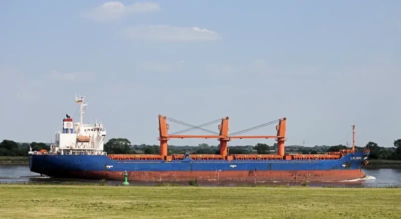 LALINDE Bulk Carrier IMO 9354040 photo 9