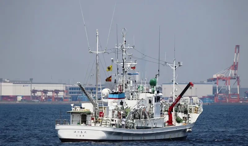 ENOSHIMA MARU General Cargo IMO 9354088 photo 6