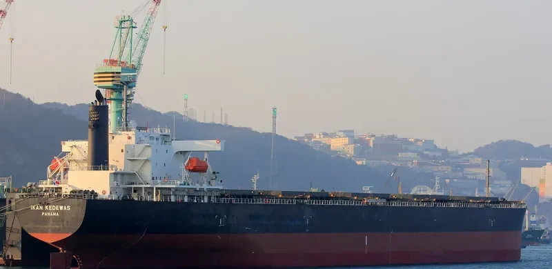 AFEA Bulk Carrier IMO 9354090
