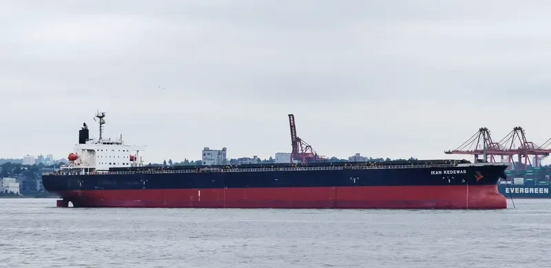 AFEA Bulk Carrier IMO 9354090 photo 5