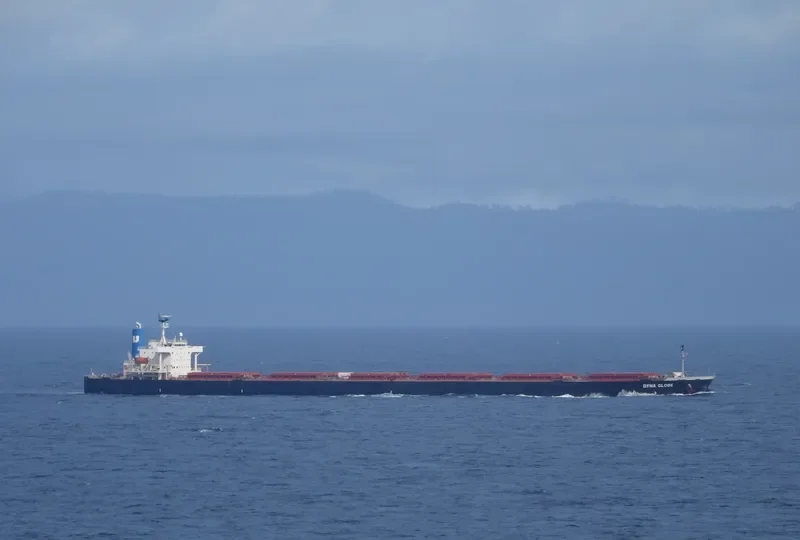 DYNA GLOBE Bulk Carrier IMO 9354105 photo 2
