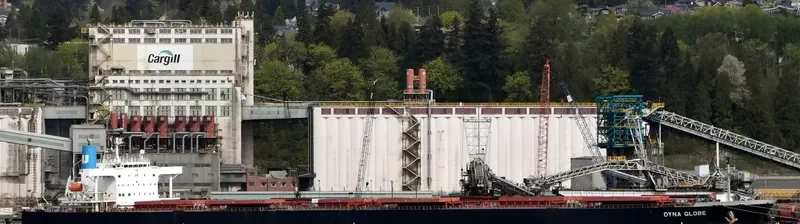 DYNA GLOBE Bulk Carrier IMO 9354105 photo 6