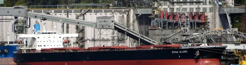 DYNA GLOBE Bulk Carrier IMO 9354105 photo 7