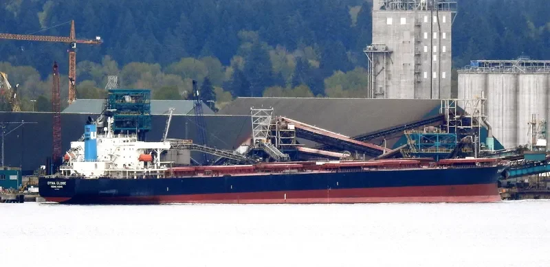 DYNA GLOBE Bulk Carrier IMO 9354105 photo 8