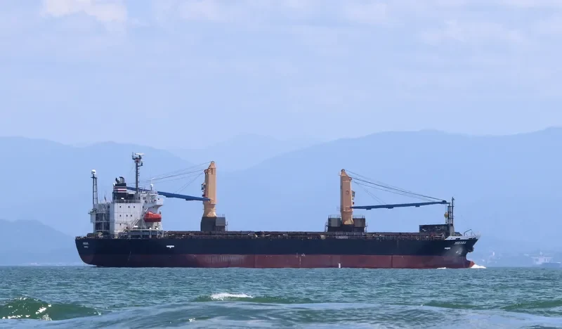 MIKAWA General Cargo IMO 9354208 photo 10
