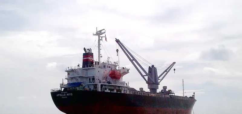 ORIENTAL SOURCES General Cargo IMO 9354210 photo 5